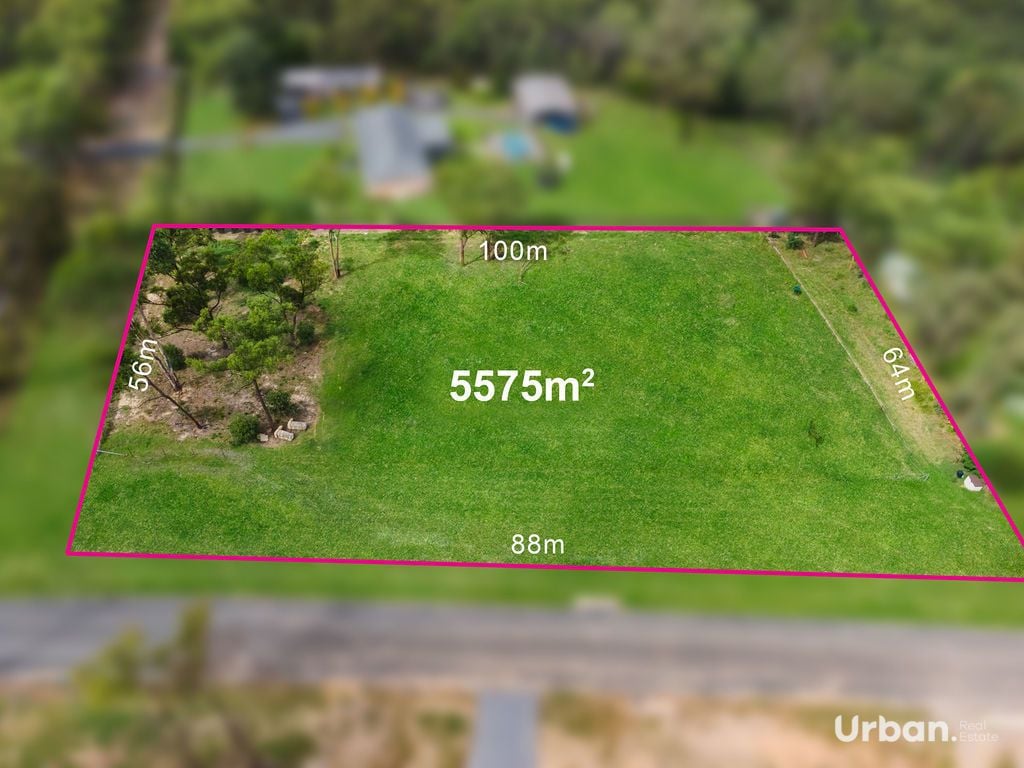 Sackville North 2 White Wattle Grove