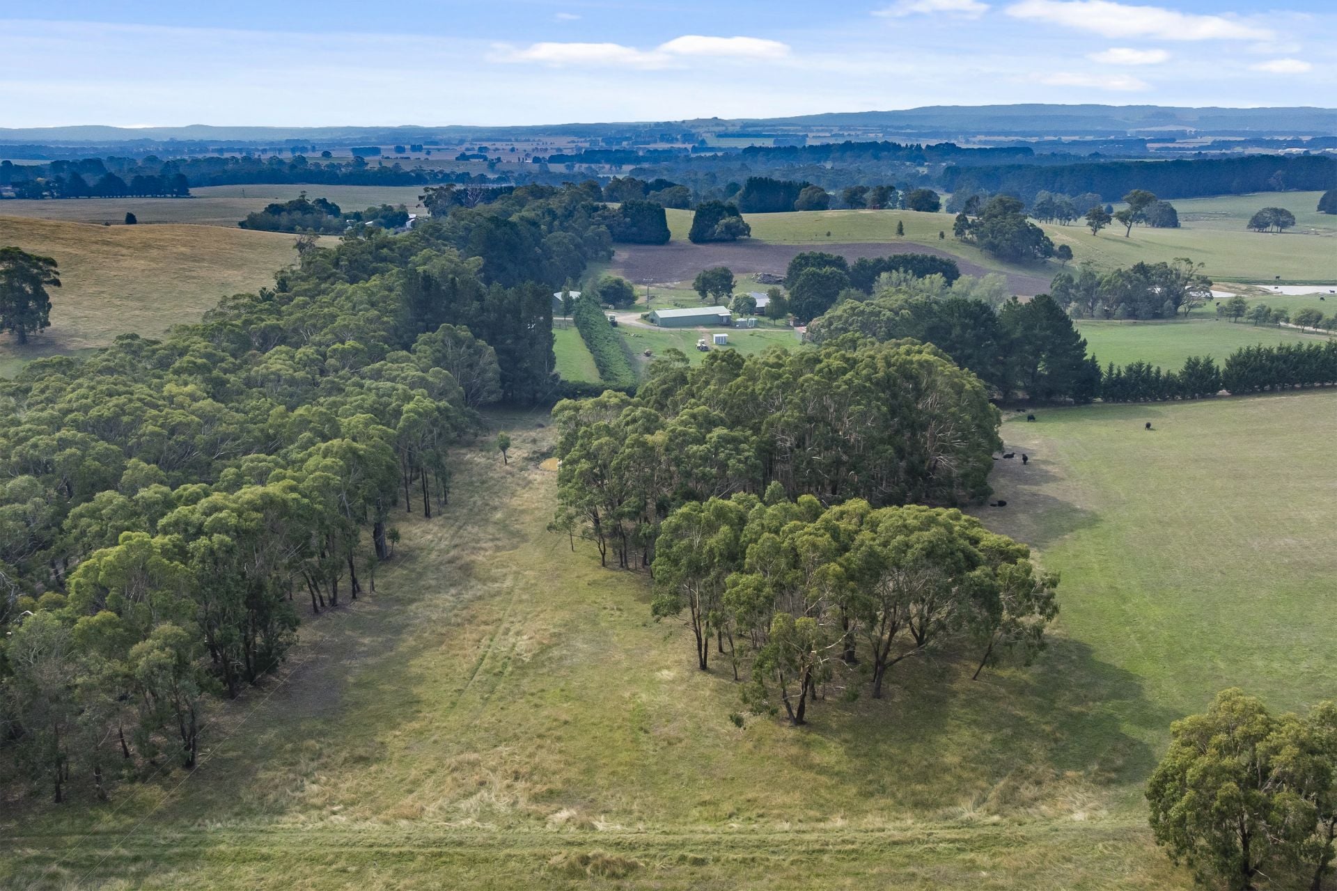133 Llandeilo Lane, Ballan VIC, Ballan - Thumbnail 7
