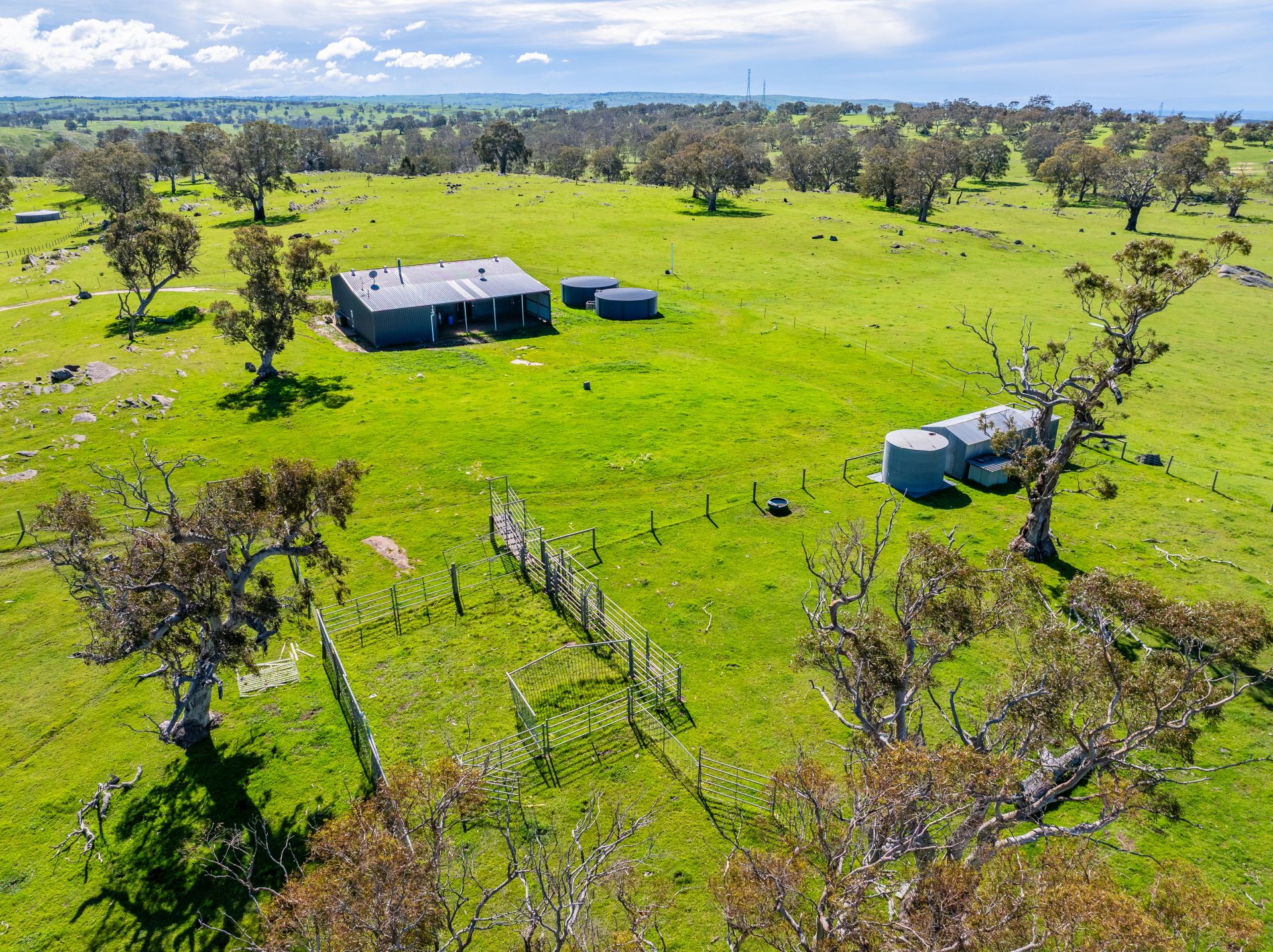 951 Black Heath Road, Tungkillo SA, Tungkillo - Thumbnail 4