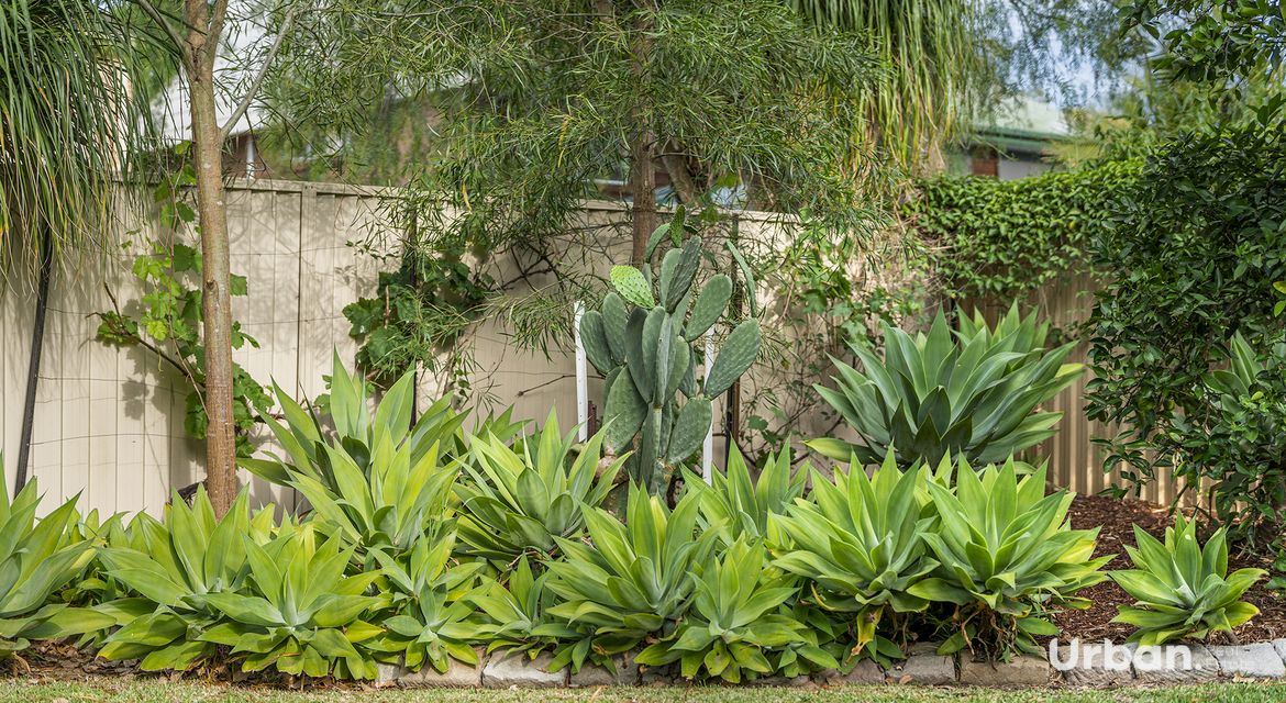 Mcgraths Hill 47 Balmain Road