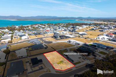50 Bushland Drive, Hawley Beach, Hawley Beach - Thumbnail 4