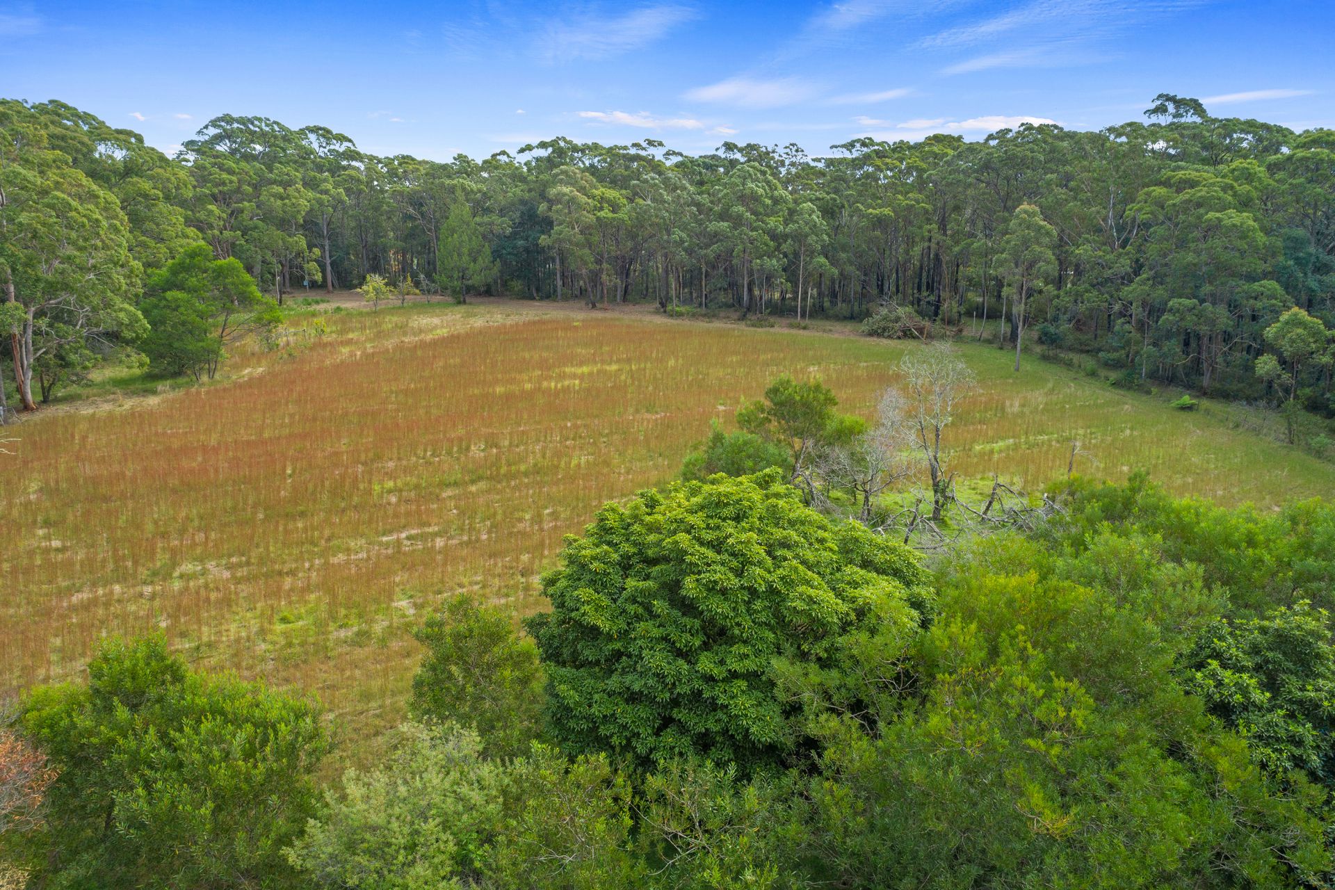 110 Mountain Lagoon Road, Bilpin, Bilpin - Thumbnail 4