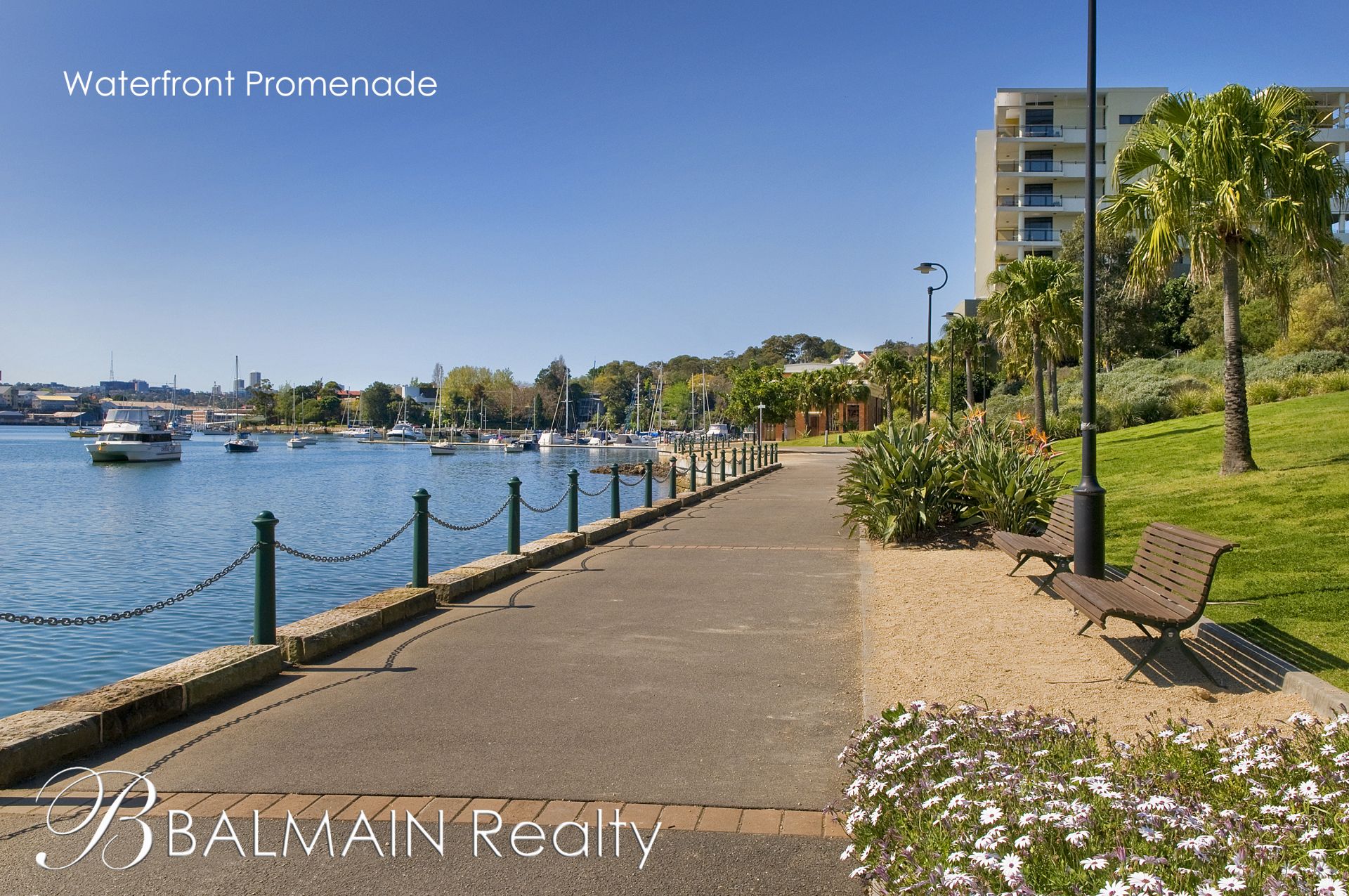 313/41 Terry Street Rozelle NSW, Rozelle - Thumbnail 2