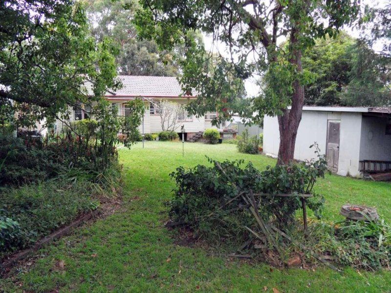54 Oleander Parade, CARINGBAH SOUTH, Caringbah South - Thumbnail 4