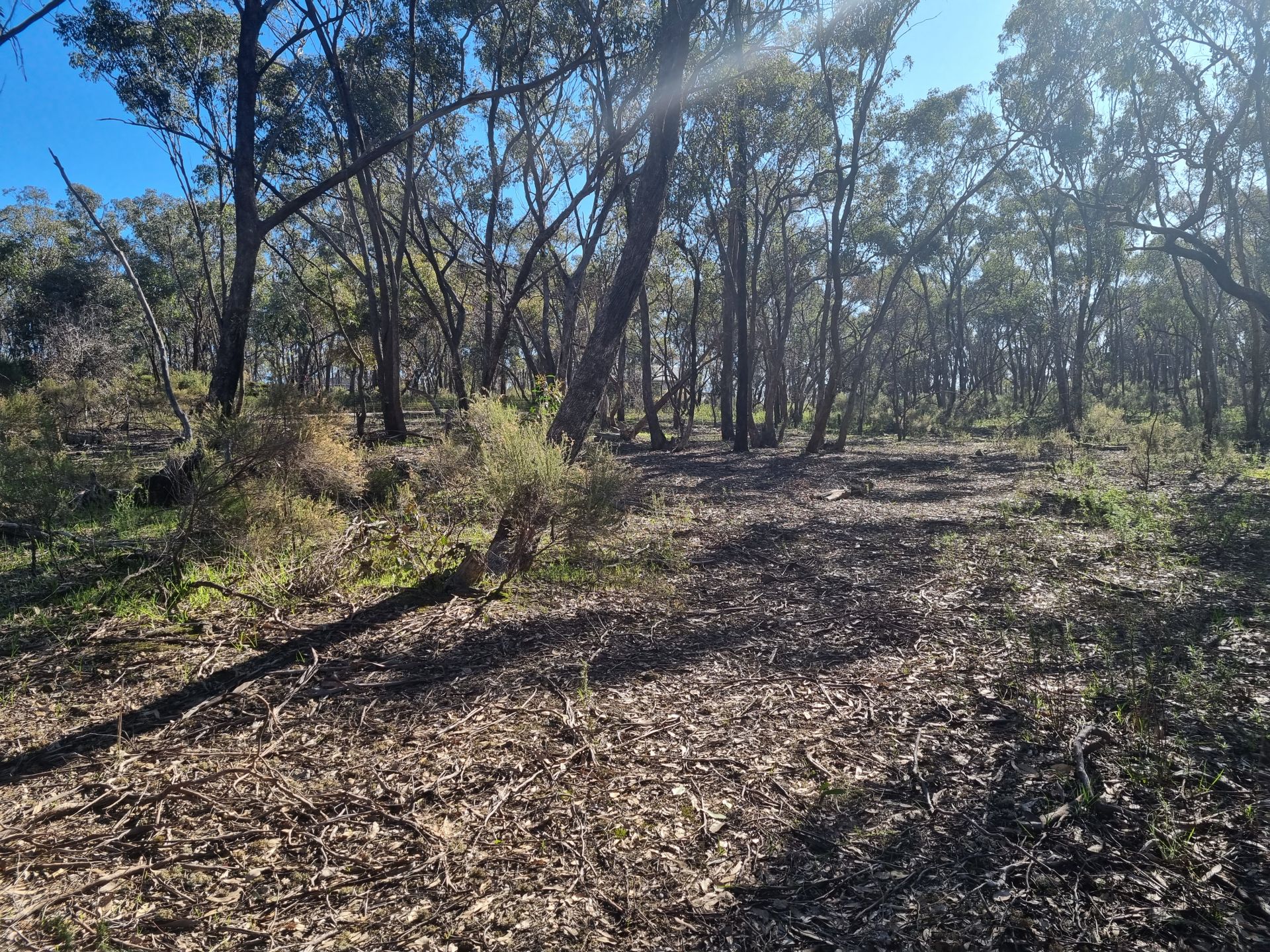 Lot 18 Native Gully Crescent Eppalock VIC, Eppalock - Thumbnail 5