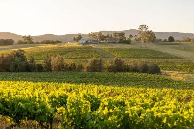 Pokolbin 353 Oakey Creek Road