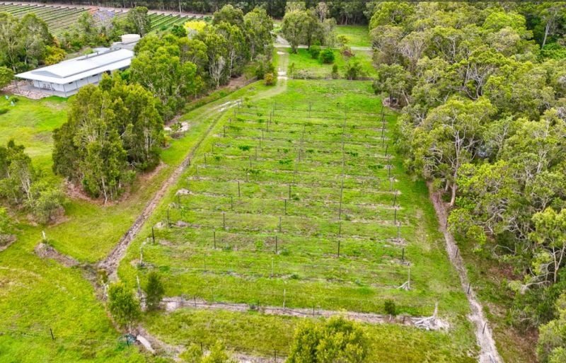 197 Stephan Road, Goomboorian For Sale by Farmbuy.com - image 30
