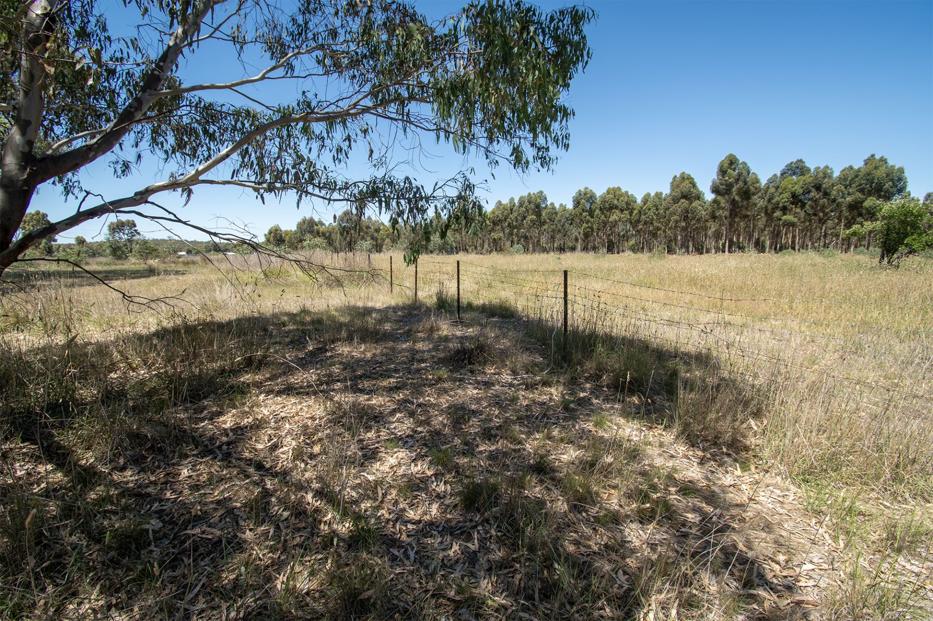 29 Steele Street, Dunolly - Thumbnail 4