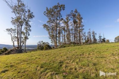 Maloneys Road, Sunnyside, Sunnyside - Thumbnail 6