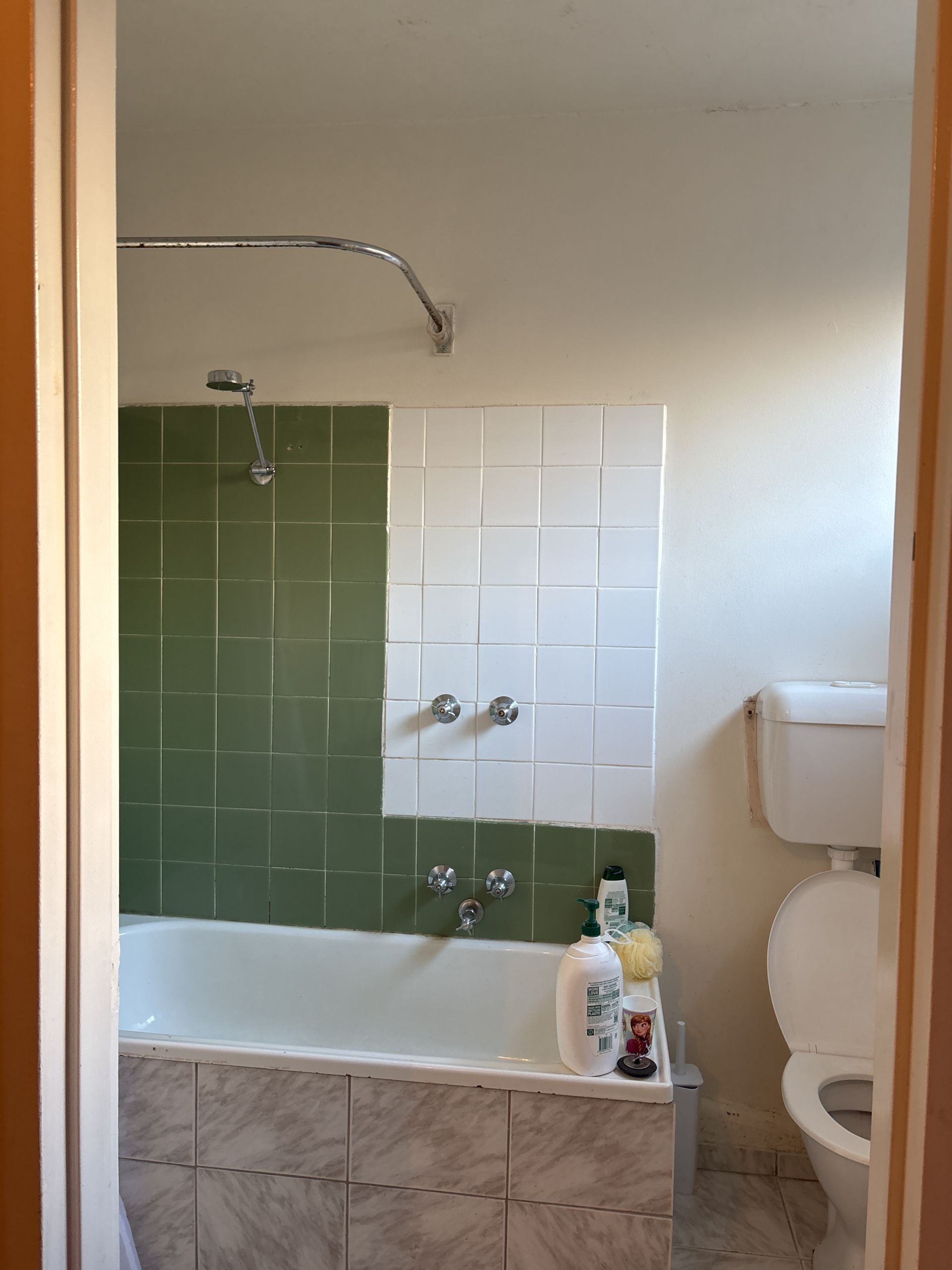 1 Bedroom Apartment in the Heart of Collingwood
