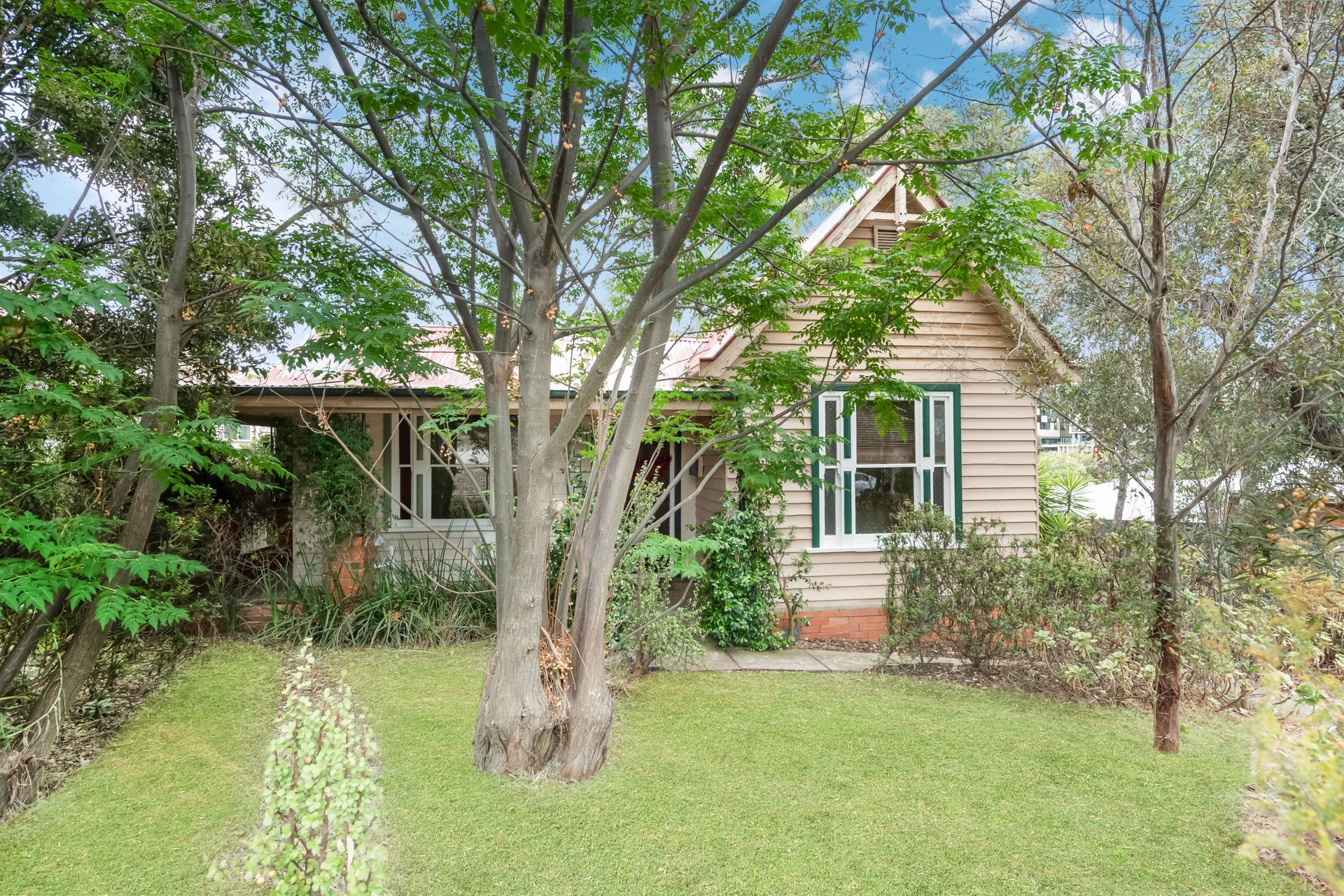 6 Frederick Street, Bendigo, Bendigo, Bendigo - Thumbnail 3