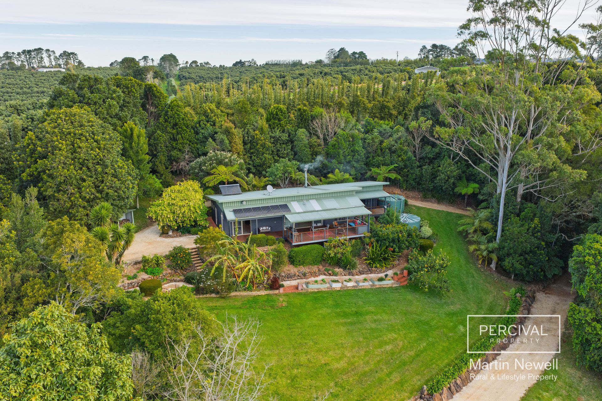 384 Playfords Road Comboyne NSW, Comboyne - Thumbnail 5