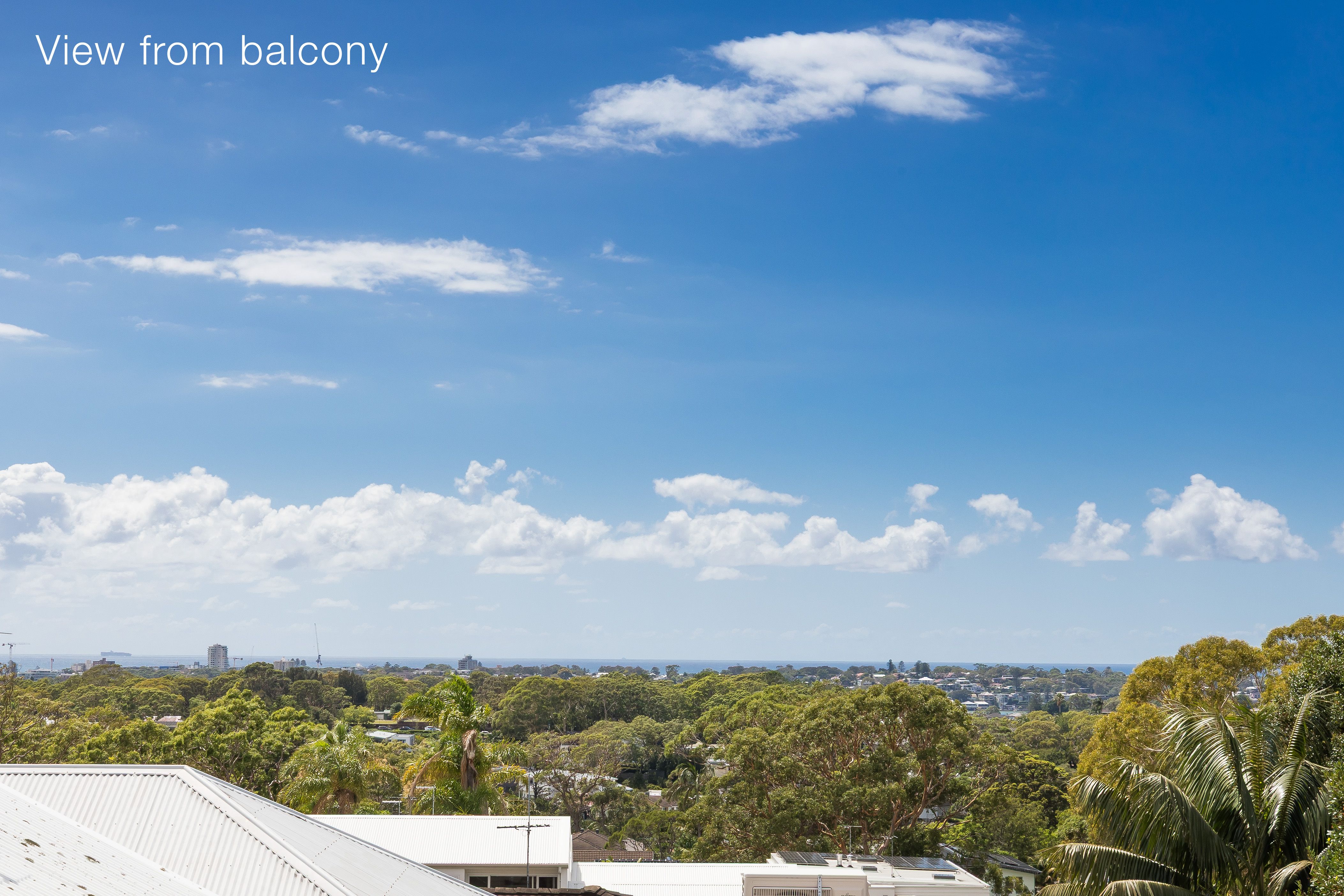 14 Wentworth Street Caringbah South 2229
