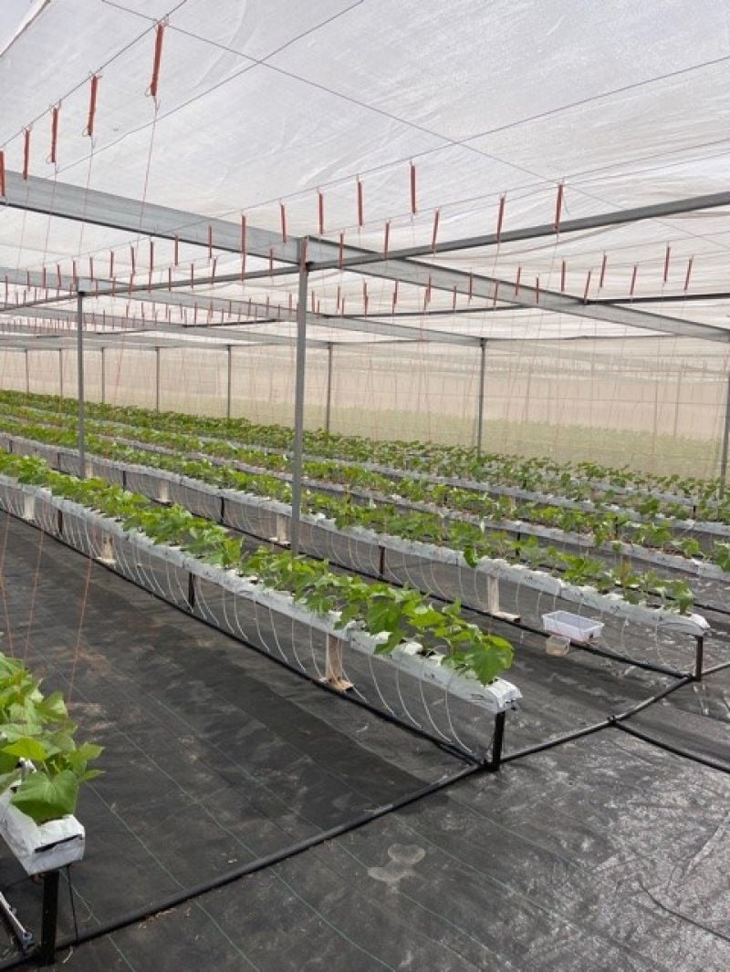 Marrakai For Sale by Farmbuy.com - image 12