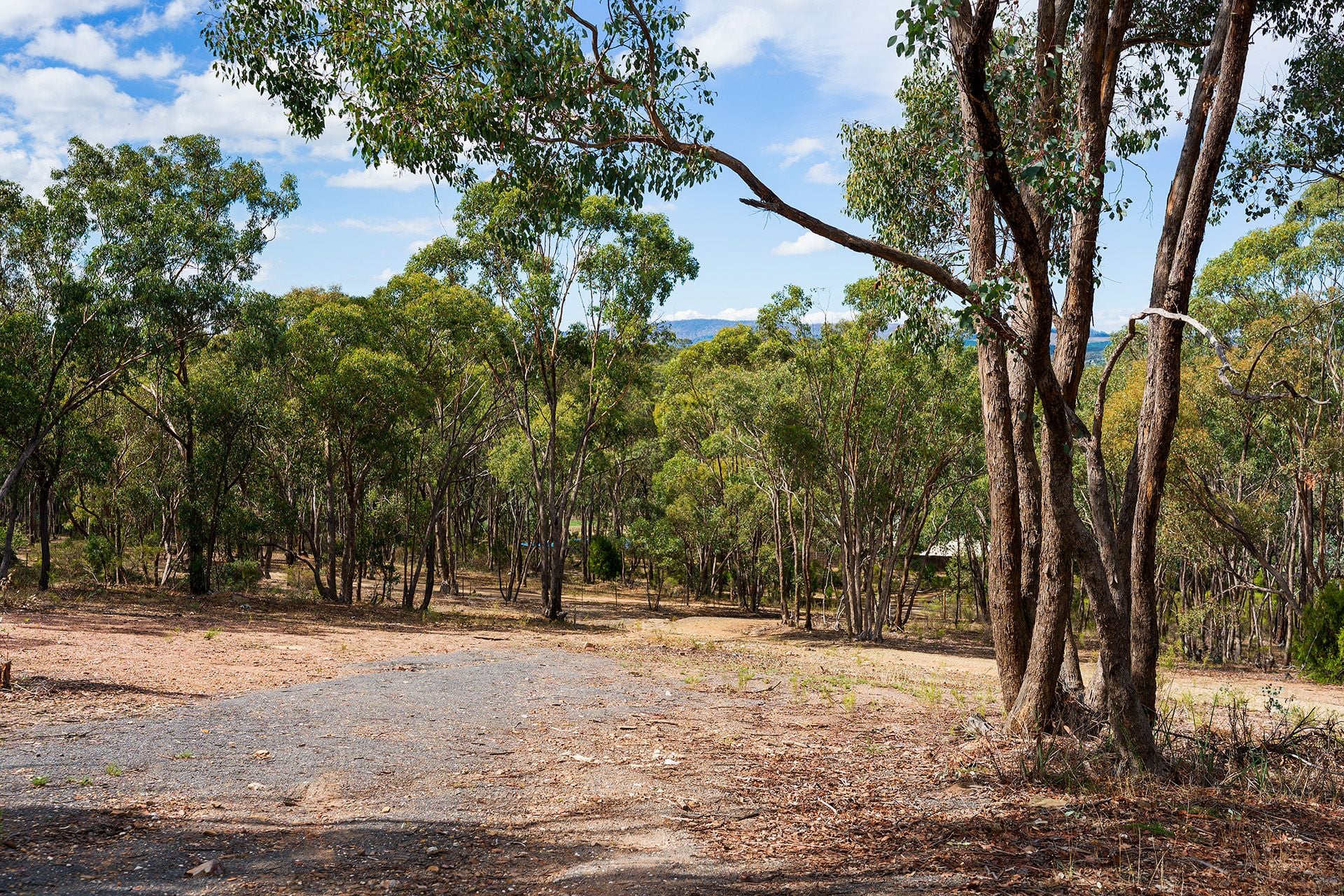 76 Ireland Street, McKenzie Hill - Thumbnail 4