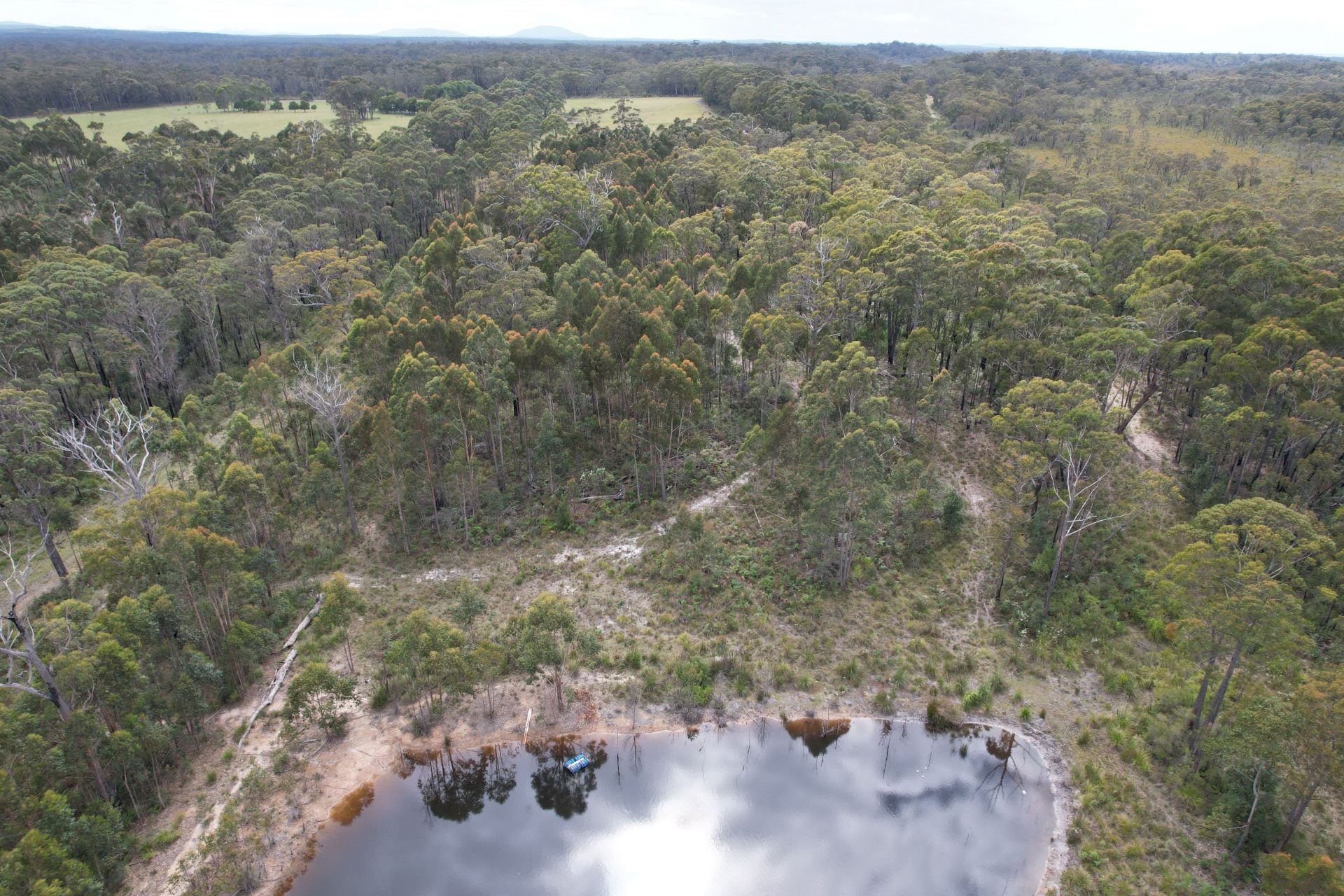 726 Cabbage Tree-Conran Road, Marlo VIC, Marlo - Thumbnail 2