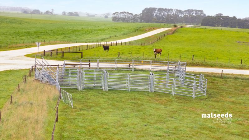 Lot 455 Vause Road Wandilo SA, Wandilo - Thumbnail 7