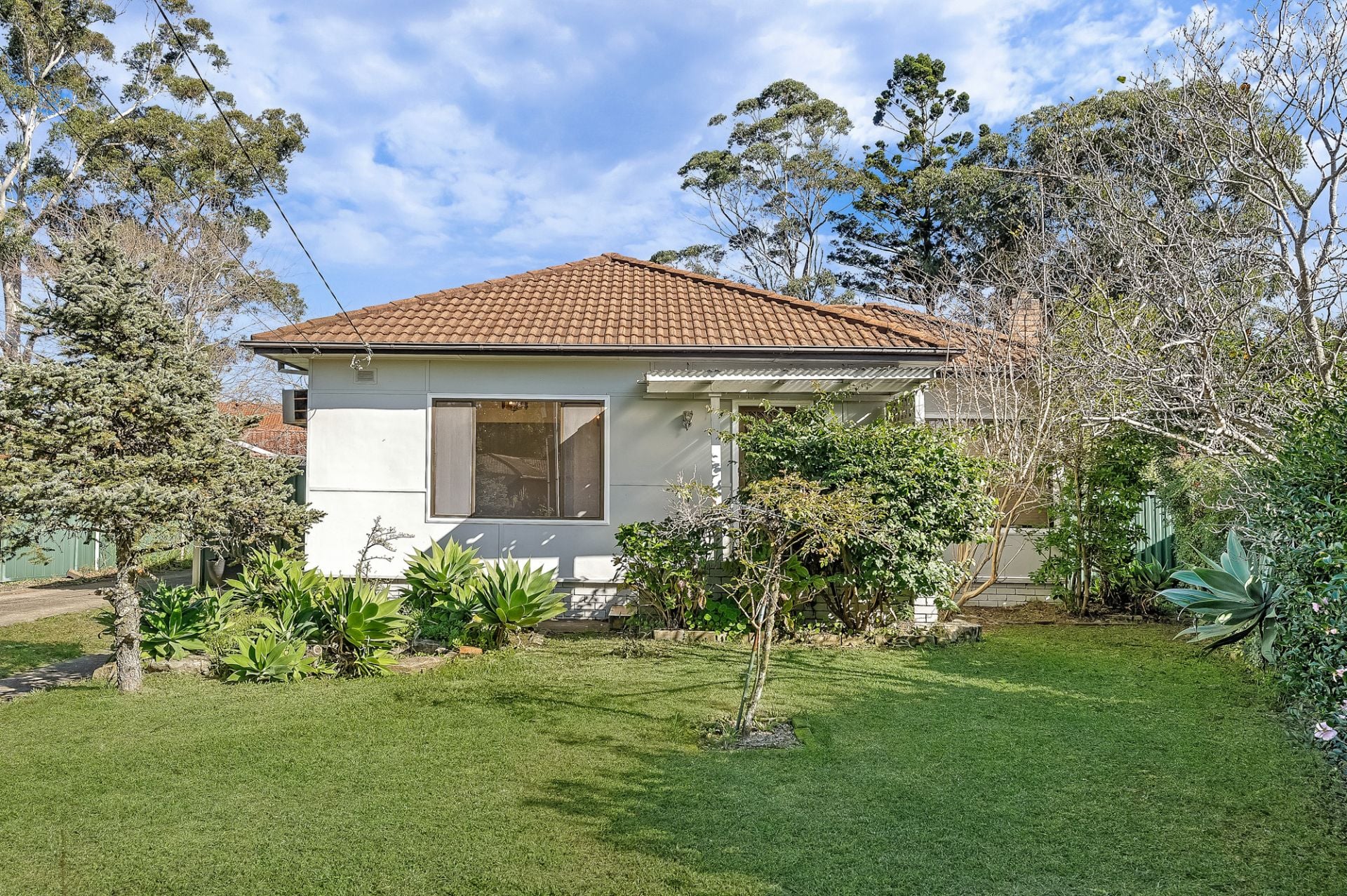 23 Westwood Street, Pennant Hills, Pennant Hills - Thumbnail 2
