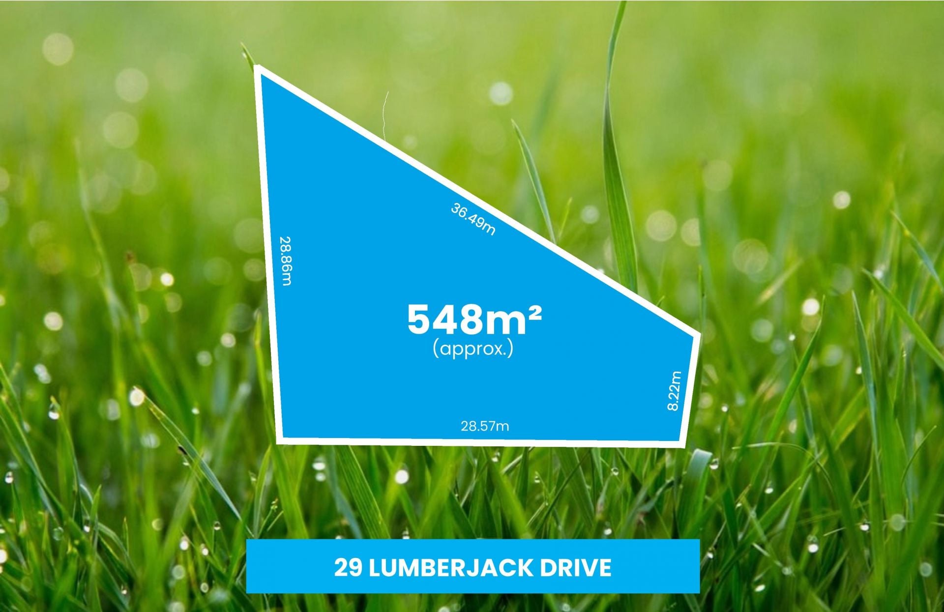 29 Lumberjack Drive