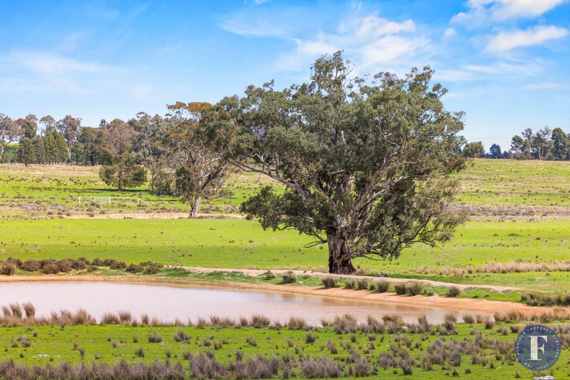 893 Deaths Lane, Pullabooka NSW, Pullabooka - Thumbnail 8