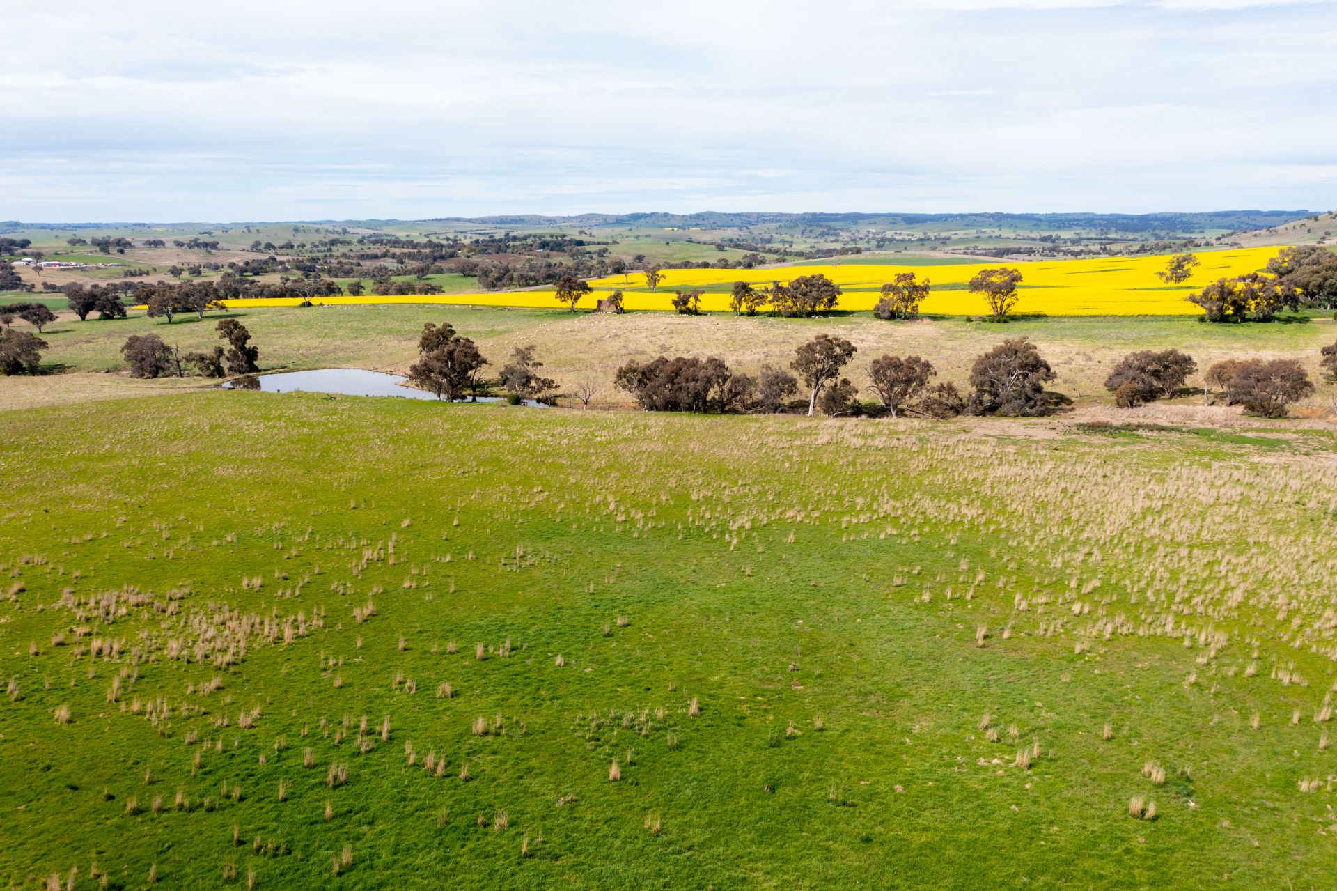 "Dots" 1887 Rye Park Road, Boorowa NSW, Boorowa - Thumbnail 6