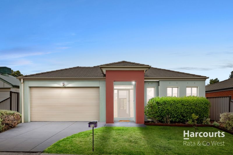 16 Wills Terrace, Burnside Heights