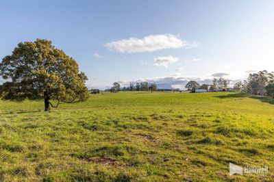 Maloneys Road, Sunnyside, Sunnyside - Image 1
