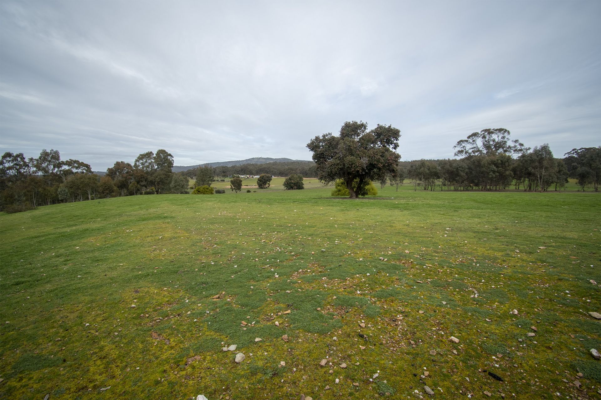 CA 31 - Clay Gully  Lane - McIntyre, Dunolly, Dunolly - Thumbnail 6
