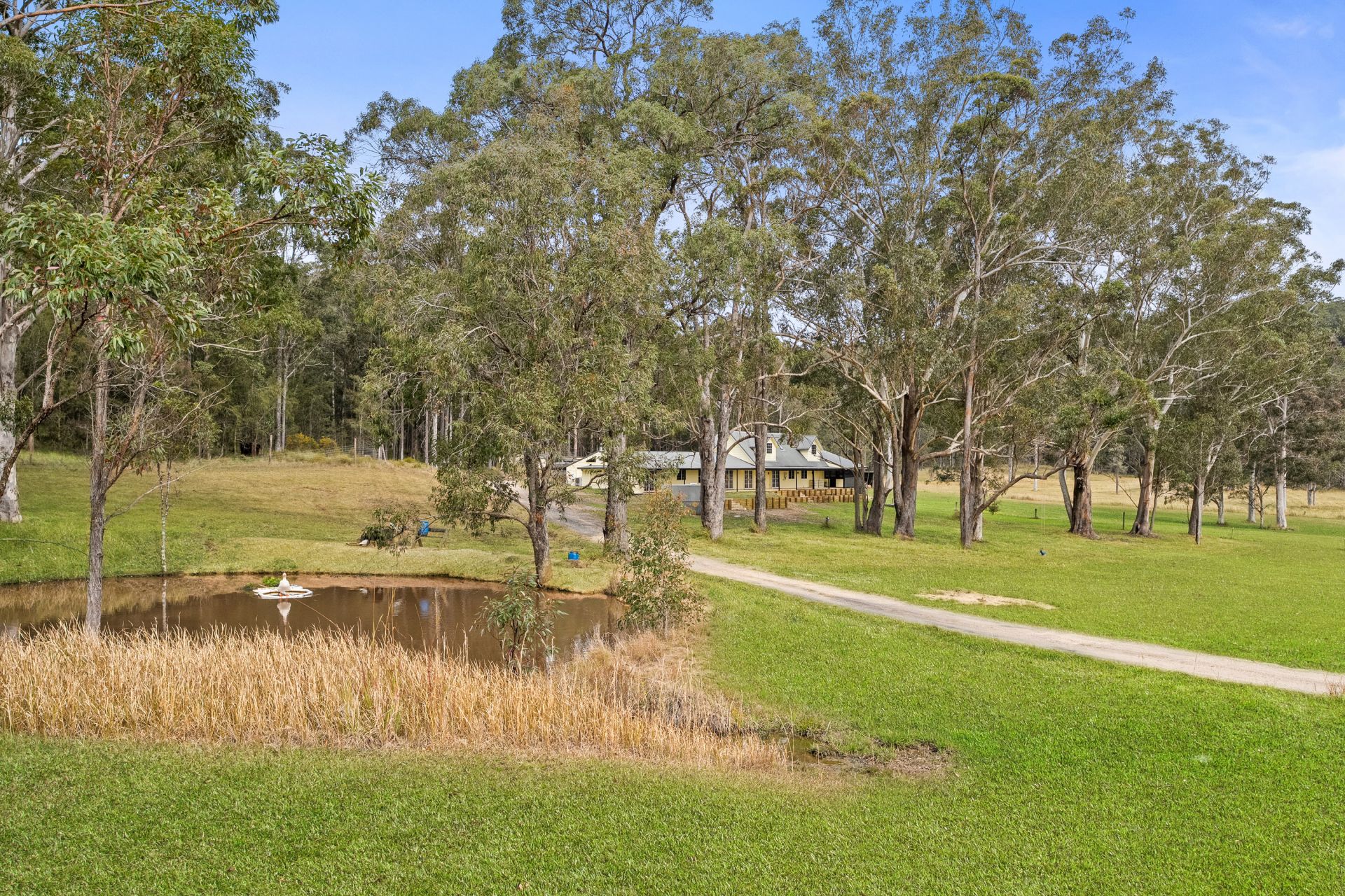 818 Dicksons Road, Jilliby, Jilliby - Thumbnail 2