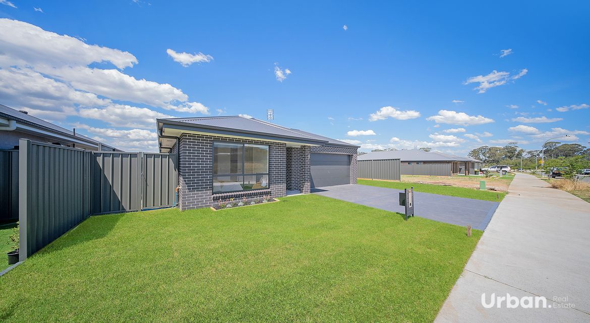 Bellbird 68 Abbotsford Street