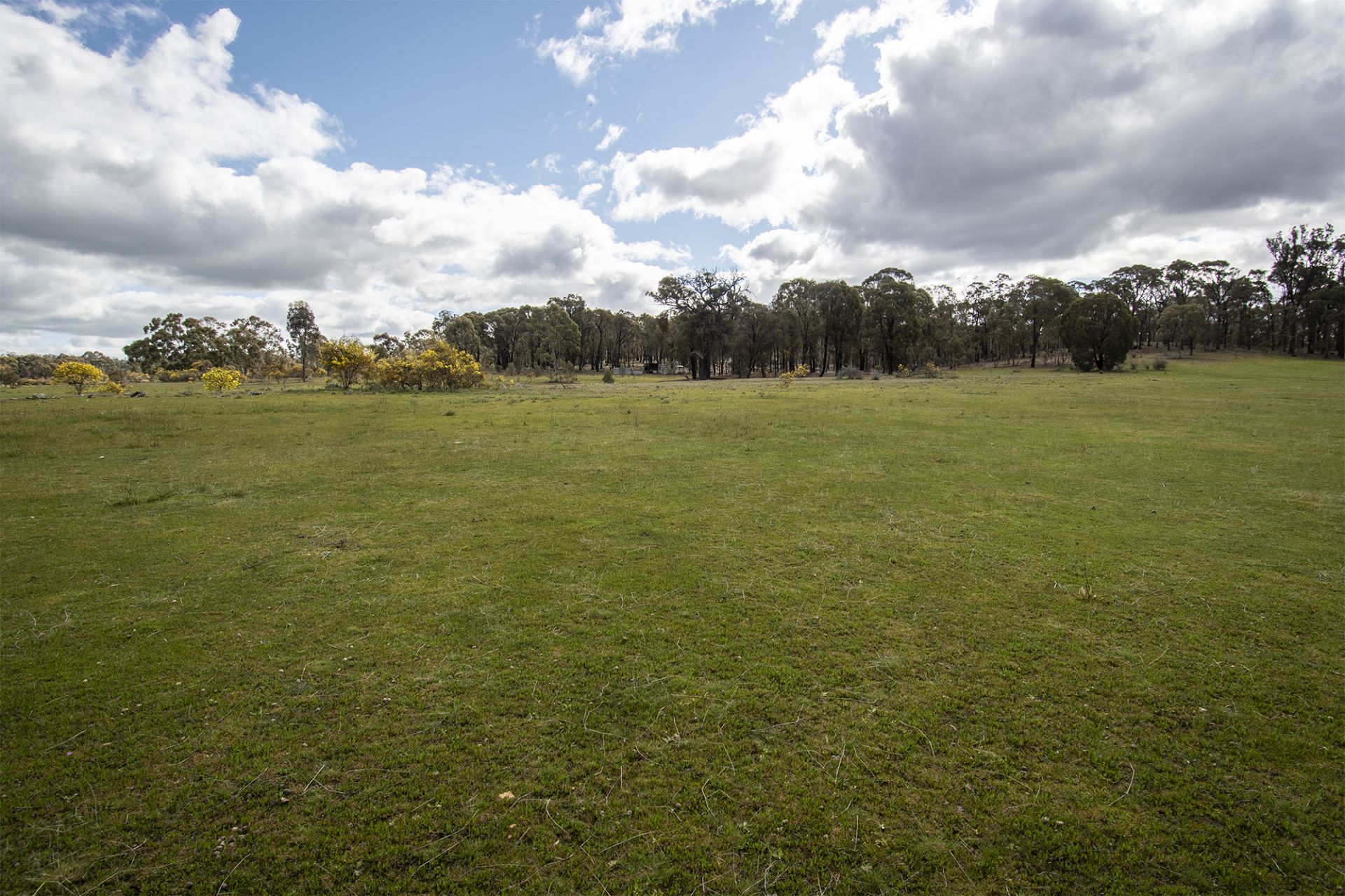472 Stuart Mill Road, Dunolly - Thumbnail 4