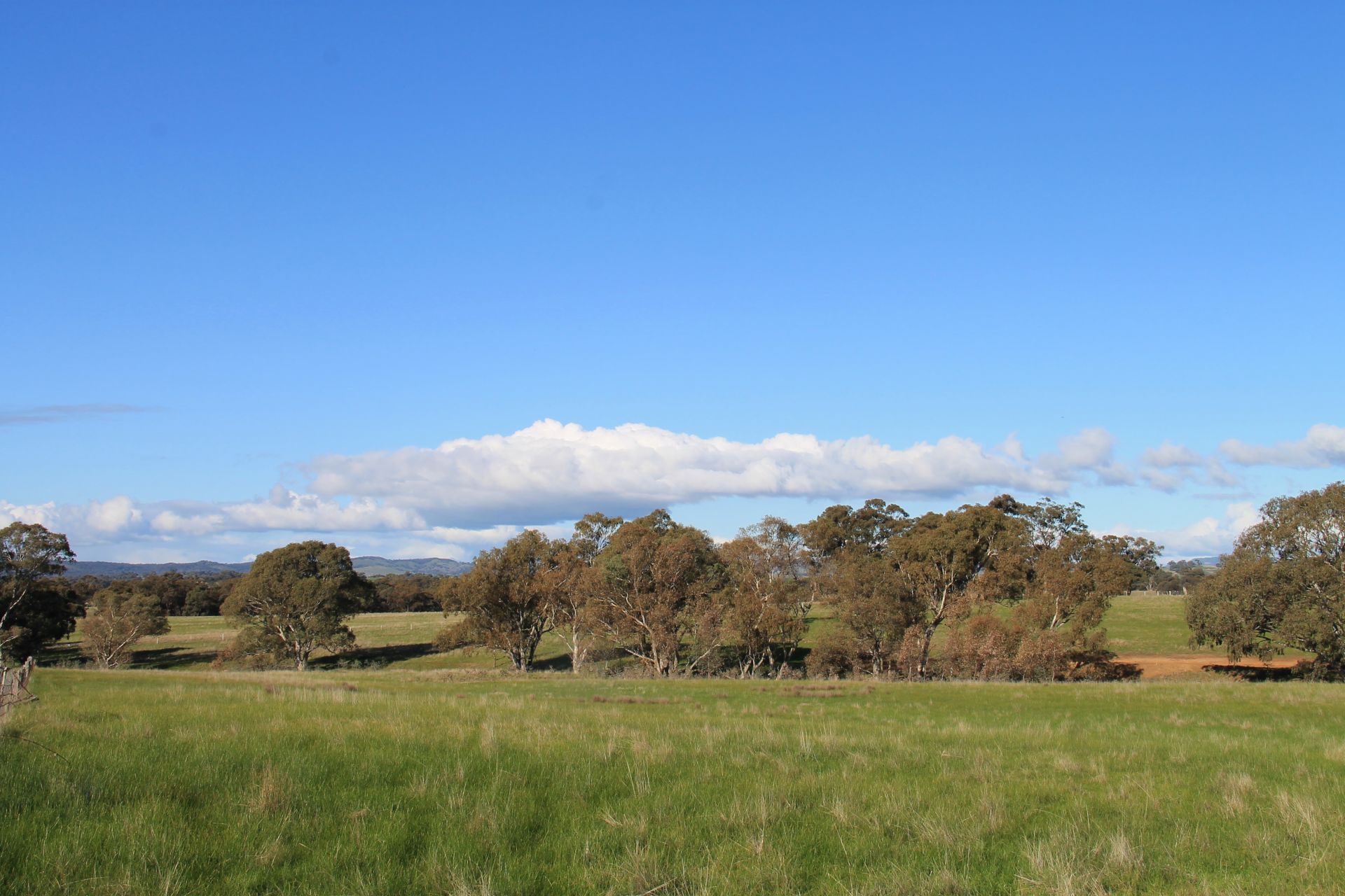 CA 12/Sec 31 Bendigo-Maldon Road Lockwood South VIC, South - Thumbnail 8