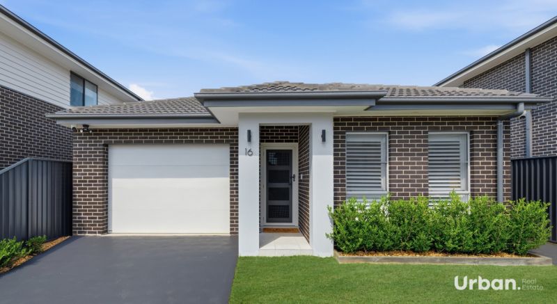 16 Cycads Way