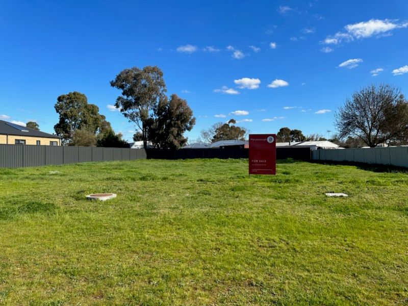25 Birch Street, Carisbrook - Thumbnail 4