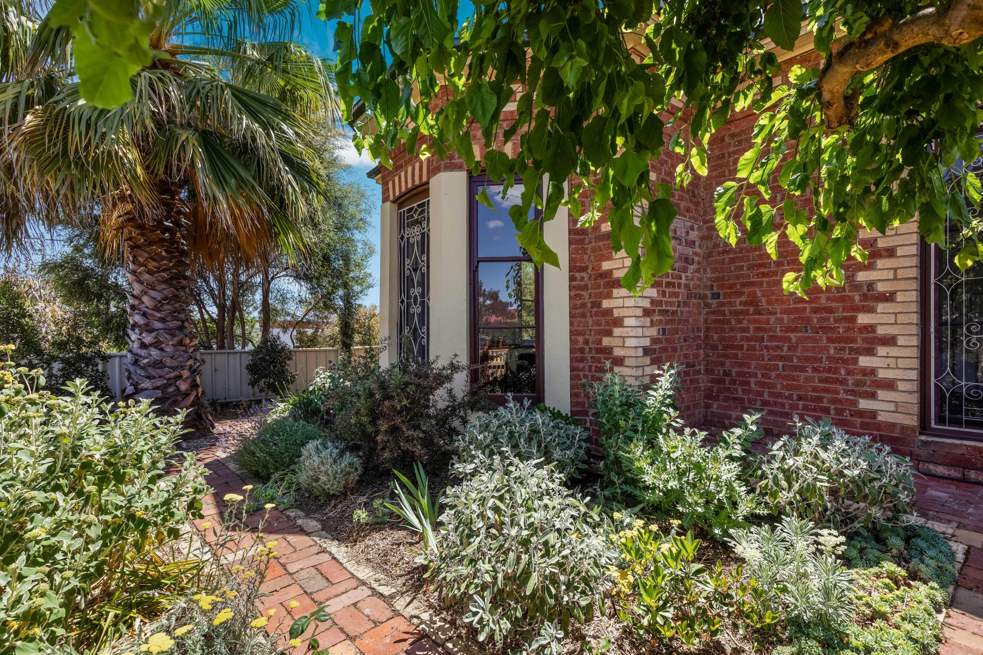 117 Williamson Street, Bendigo, Bendigo, Bendigo - Thumbnail 3