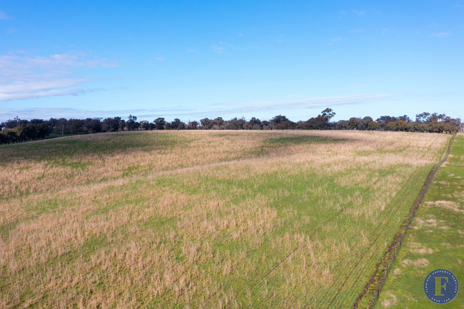 Lot 3 Milo Roads, Murringo NSW, Murringo - Thumbnail 7