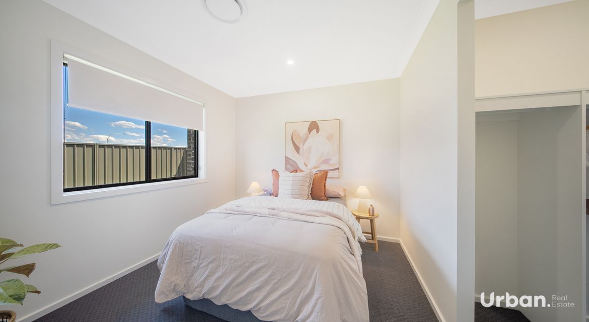 Bellbird 68 Abbotsford Street