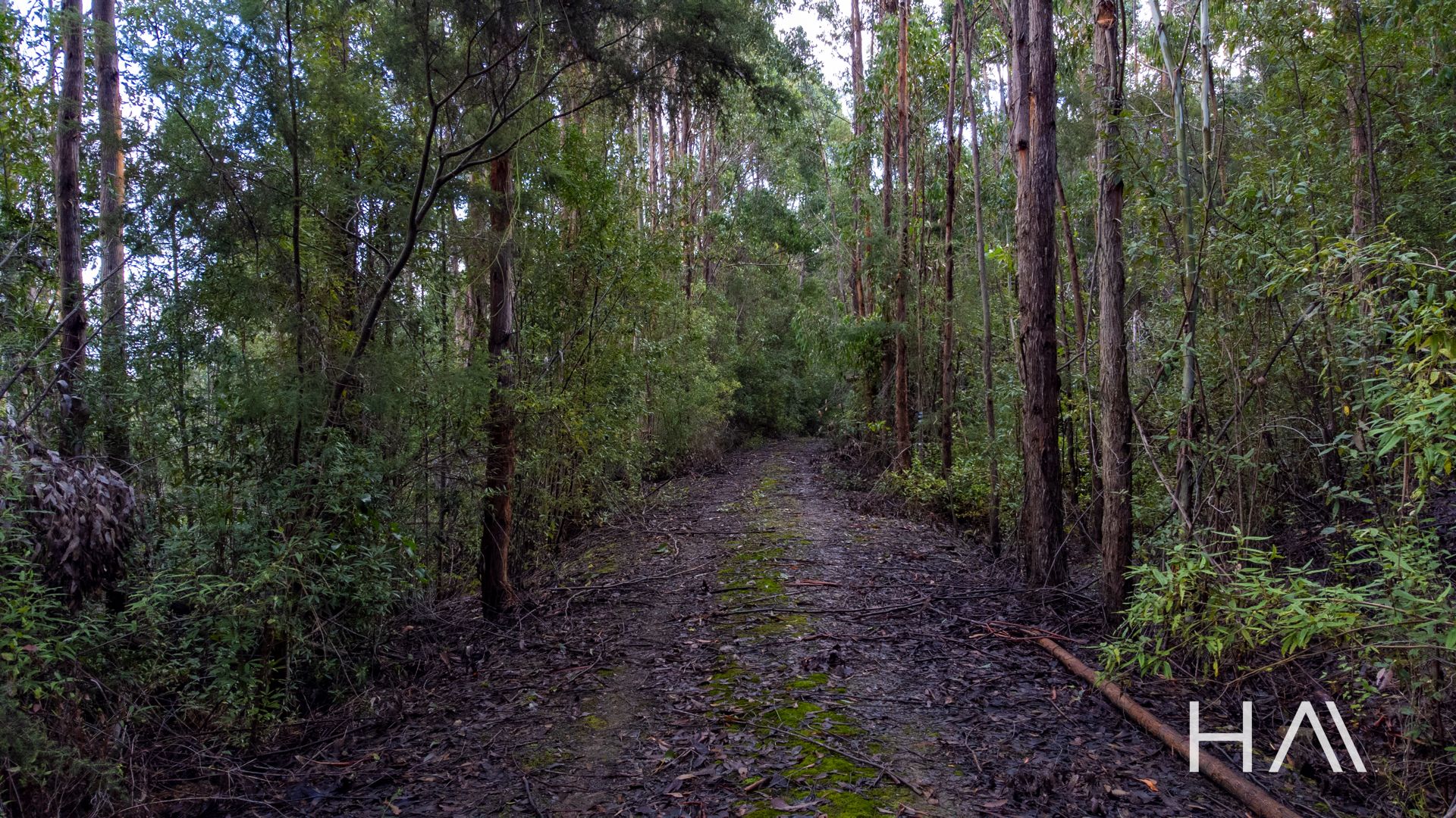 262A Austins Road Turners Marsh, Turners Marsh - Thumbnail 6