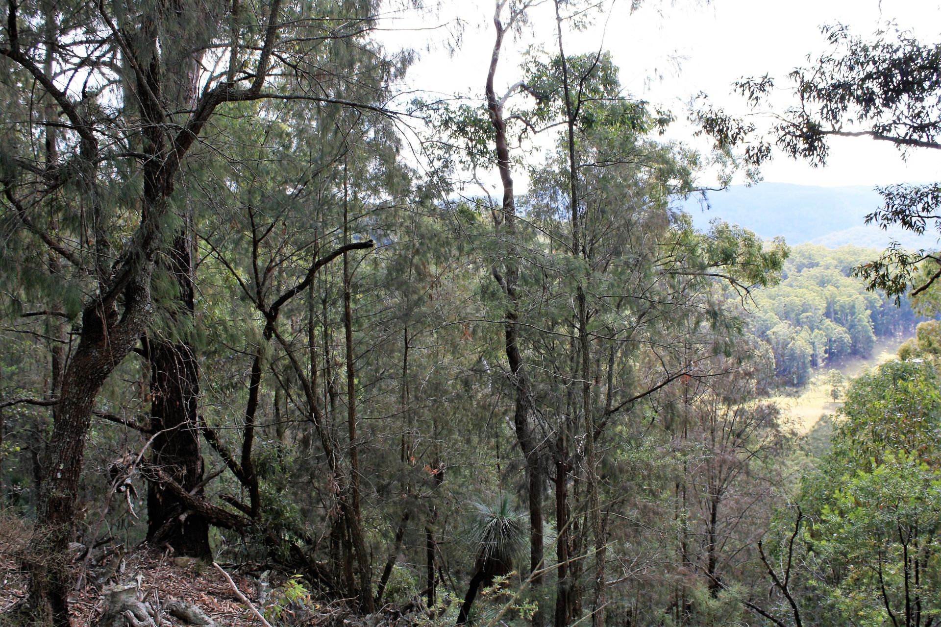 94 Mahers Road MARTINSVILLE NSW, Martinsville - Thumbnail 8