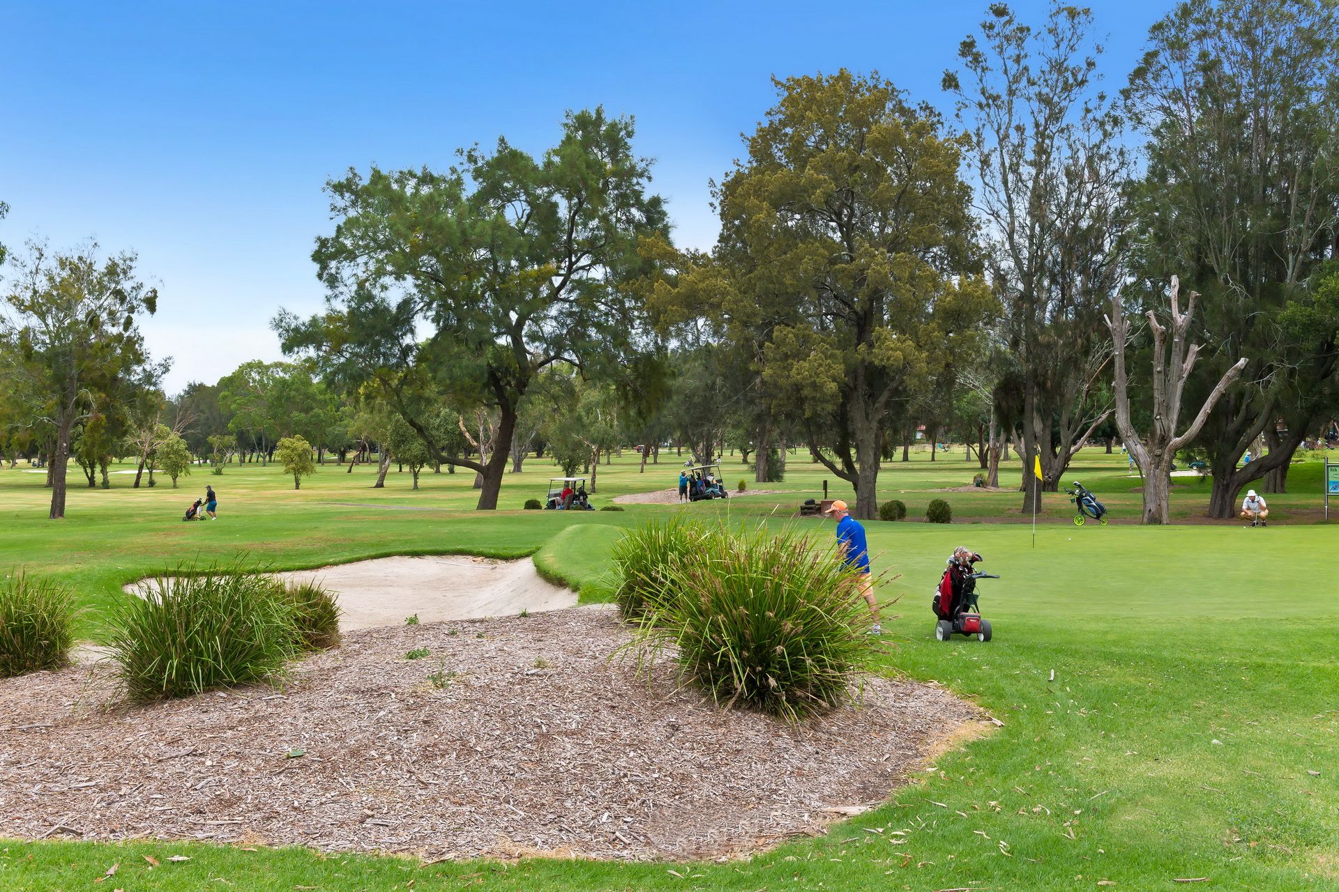 38 Marx Avenue, Beverley Park NSW, Beverley Park - Thumbnail 2