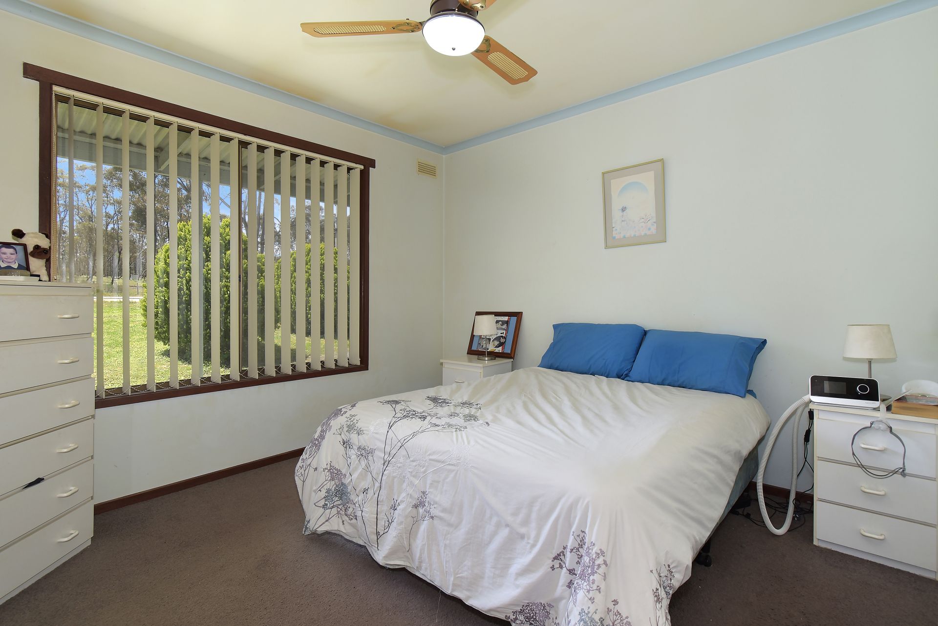44 Menzies Drive, Daisy Hill, Daisy Hill - Thumbnail 6