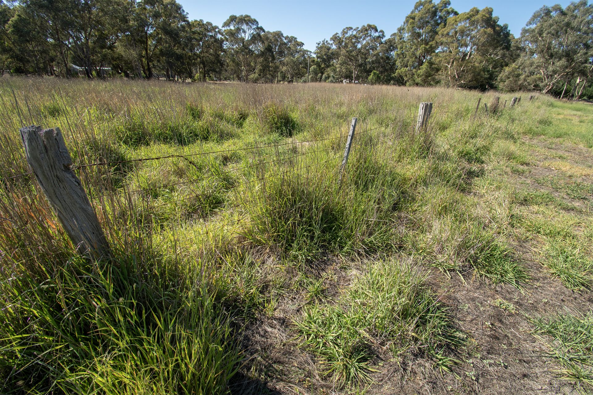 22 Baker Lane, Goldsborough - Thumbnail 5
