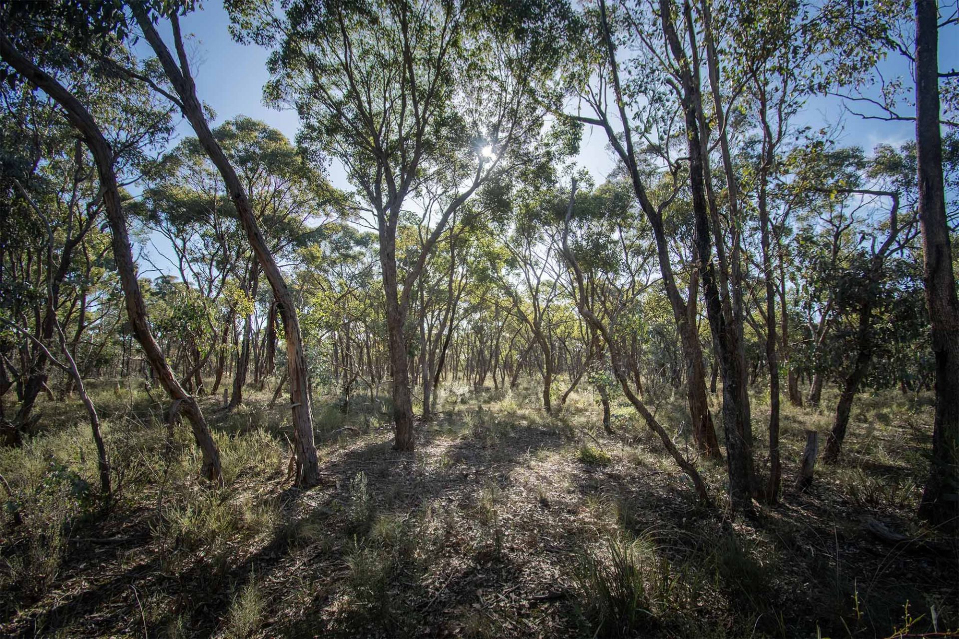 45 Lyle Lead Rd Moonlight Flat Via, Maryborough - Thumbnail 4