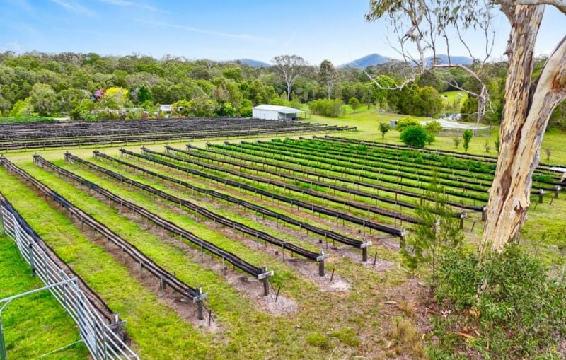 197 Stephan Road, Goomboorian For Sale by Farmbuy.com - image 23