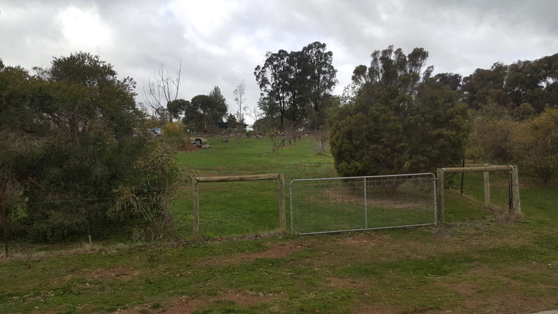 1A Rebecca Court Maiden Gully VIC, Gully - Image 1