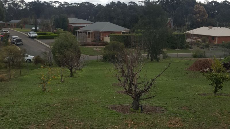 1A Rebecca Court Maiden Gully VIC, Gully - Thumbnail 3