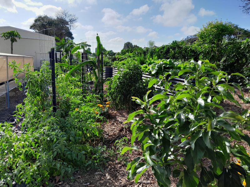 8 Hinkler Street, Childers, Childers - Thumbnail 4