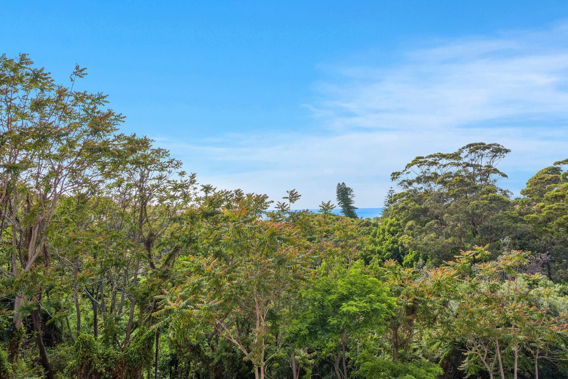 5/47 Murray Street Bronte NSW, Bronte - Thumbnail 6