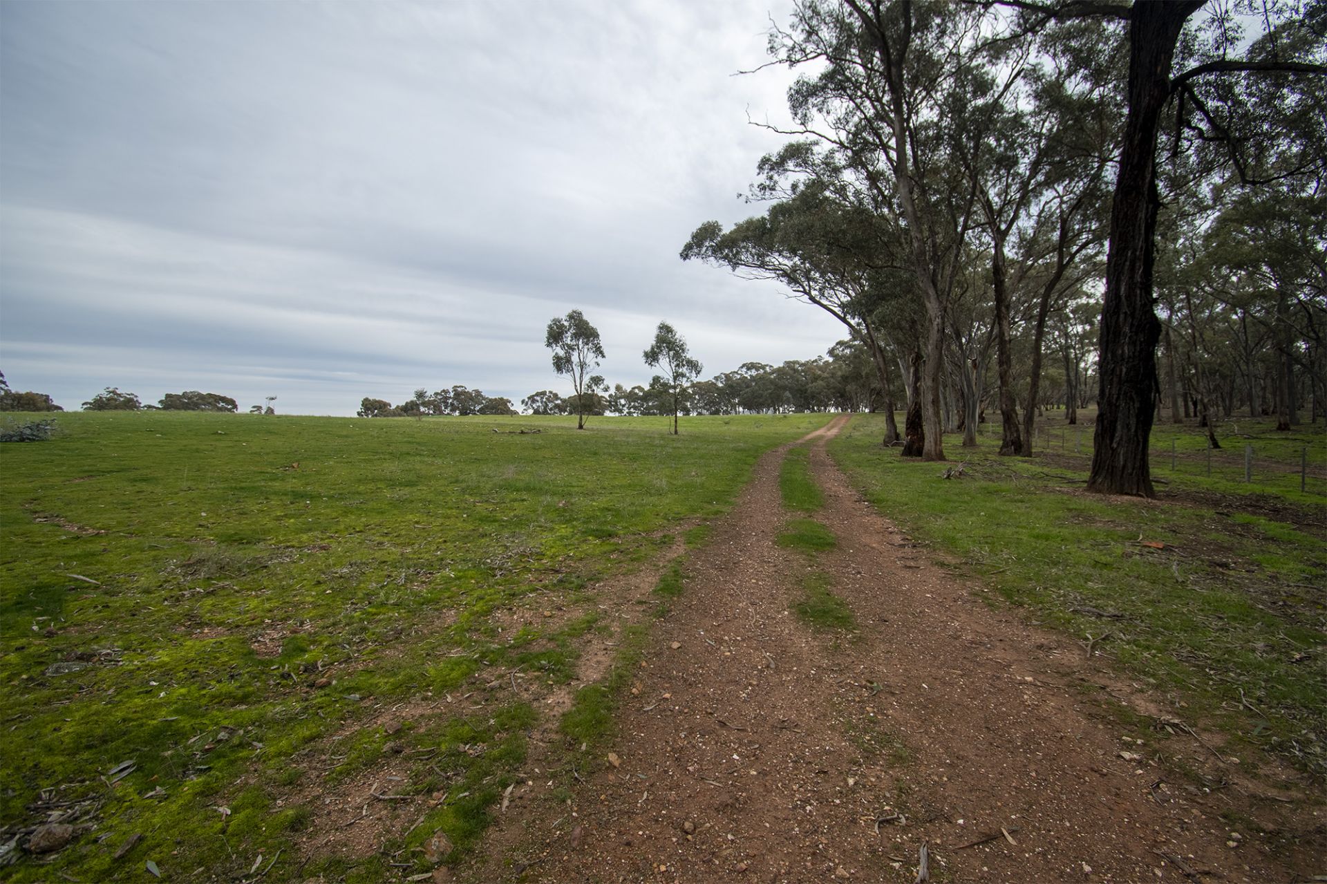 67 Carisbrook-Eddington Road, Carisbrook - Thumbnail 8
