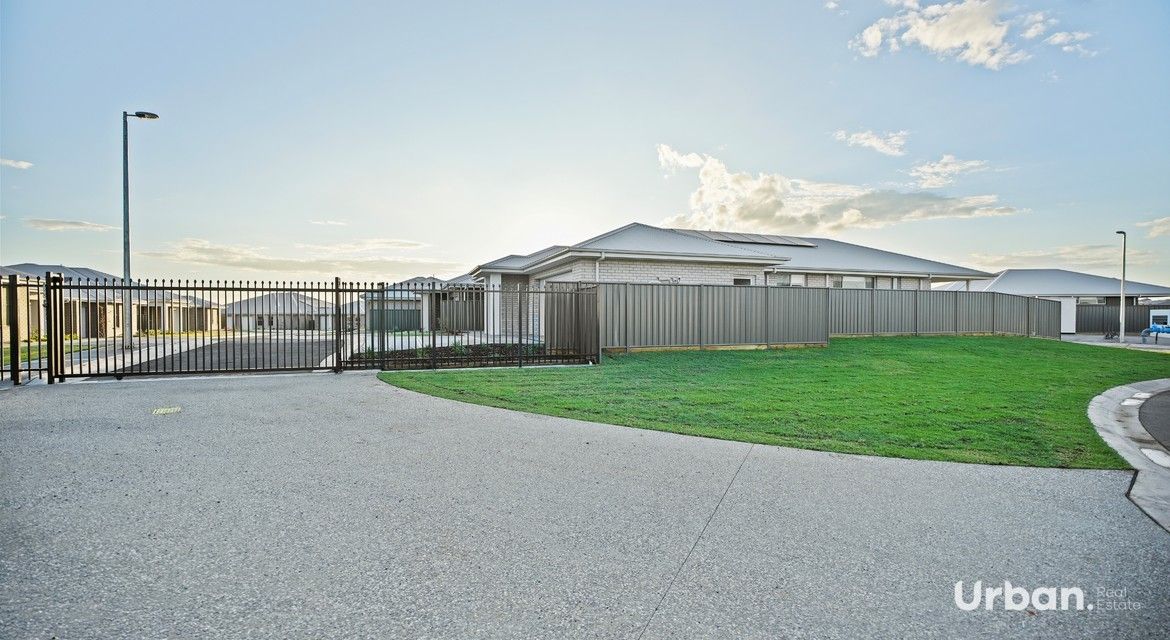 Dubbo 31 Magenta Circuit